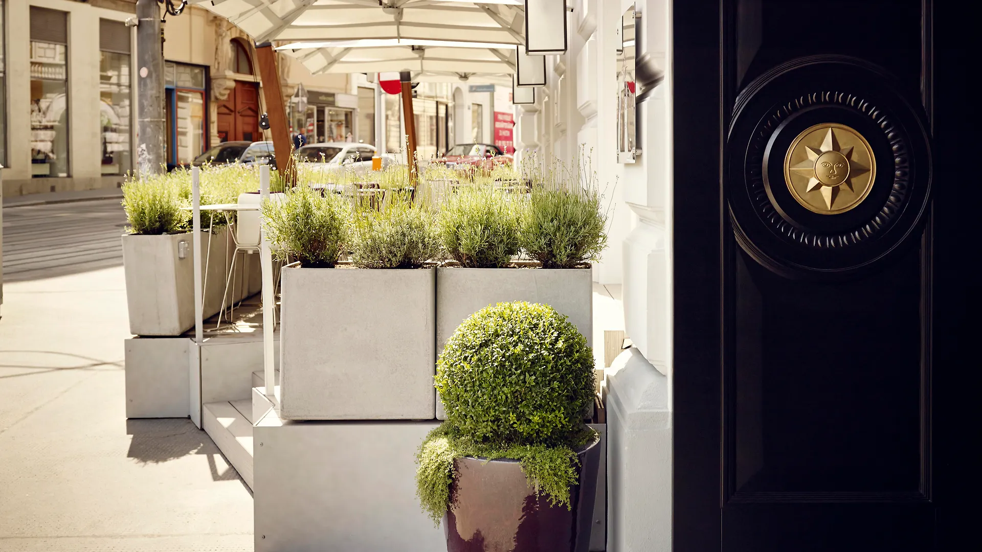 Hotel Sans Souci Wien